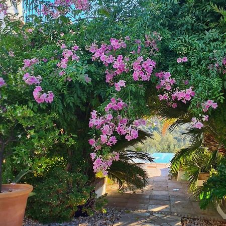 Cortijo La Haza Bed & Breakfast Iznajar Luaran gambar