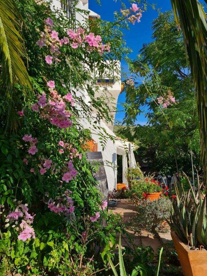 Cortijo La Haza Bed & Breakfast Iznajar Luaran gambar