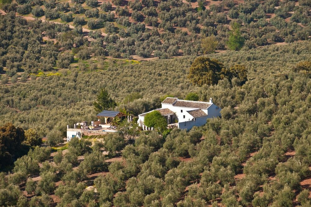 Cortijo La Haza Bed & Breakfast Iznajar Luaran gambar